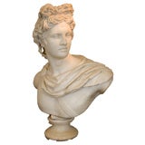 Grand Tour Marble Bust of Apollo