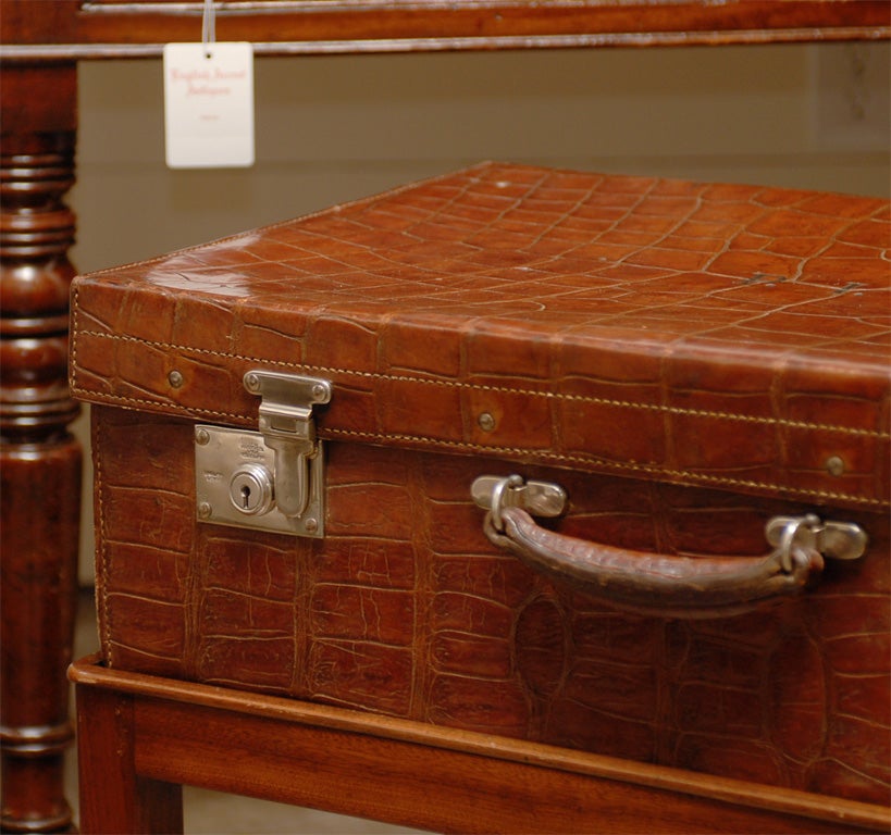 Stained British Colonial Crocodile Case on Custom Stand from the 1920s