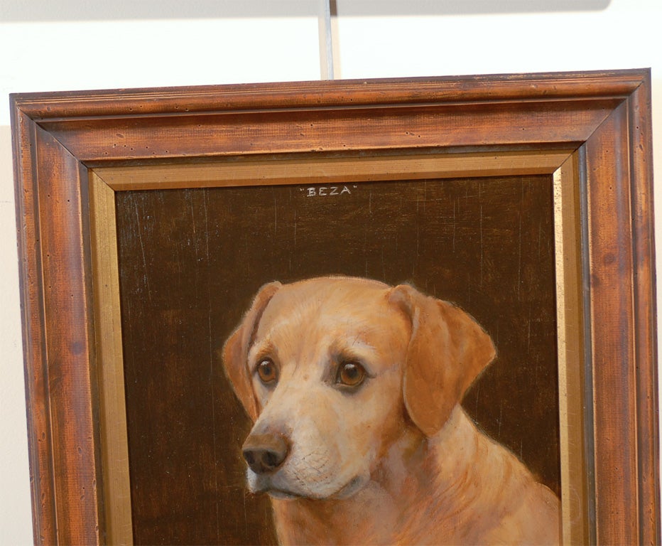 20th Century 1920s Oil on Board Animal Painting of a Labrador Signed by F.M. Hollams