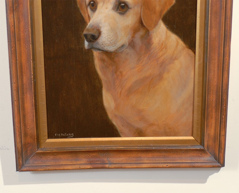 Wood 1920s Oil on Board Animal Painting of a Labrador Signed by F.M. Hollams