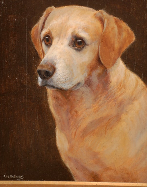1920s Oil on Board Animal Painting of a Labrador Signed by F.M. Hollams 1