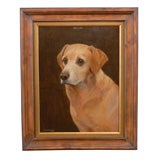 1920s Oil on Board Animal Painting of a Labrador Signed by F.M. Hollams