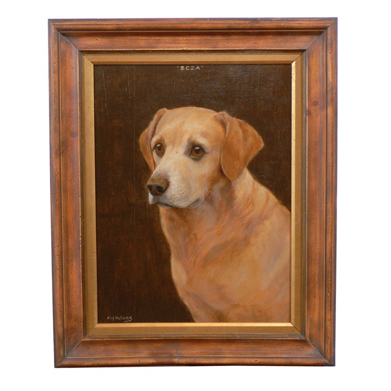1920s Oil on Board Animal Painting of a Labrador Signed by F.M. Hollams