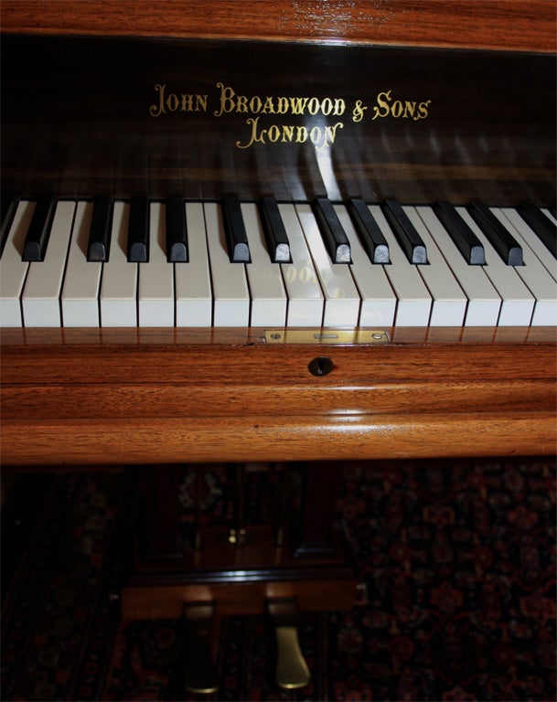 Broadwood & Sons Grand Piano 5