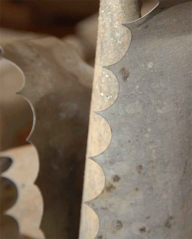 Pair of antique zinc aloe plants