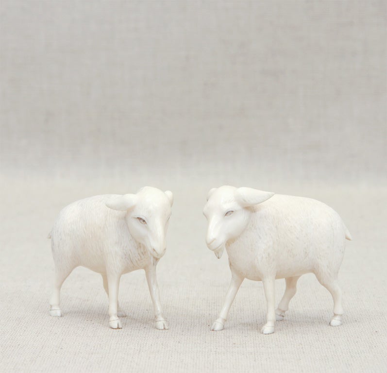 Diminutive Pair of Carved Ivory Goats in Fine Detail, China, Late 19th / Early 20th Century.  <br />
<br />
3 inches wide x 1.5 inches deep x 2.5 inches high