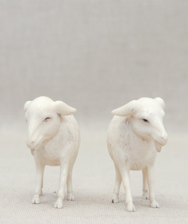 Pair Carved Ivory Goats, China, Late 19th Century 2