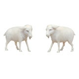 Antique Pair Carved Ivory Goats, China, Late 19th Century