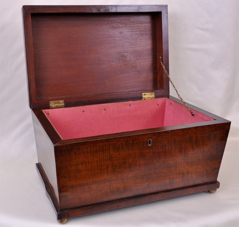  Period  Regency  Mahogany Coffer Style Box In Good Condition In West Palm Beach, FL