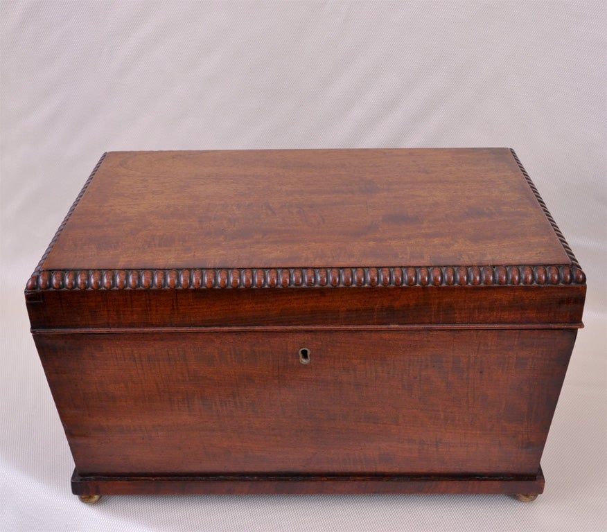 19th Century  Period  Regency  Mahogany Coffer Style Box