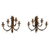 Pair of Cast Sconces with Acanthus Leaf Accents Pair of Cast Sconces with Acanthus Leaf Accents