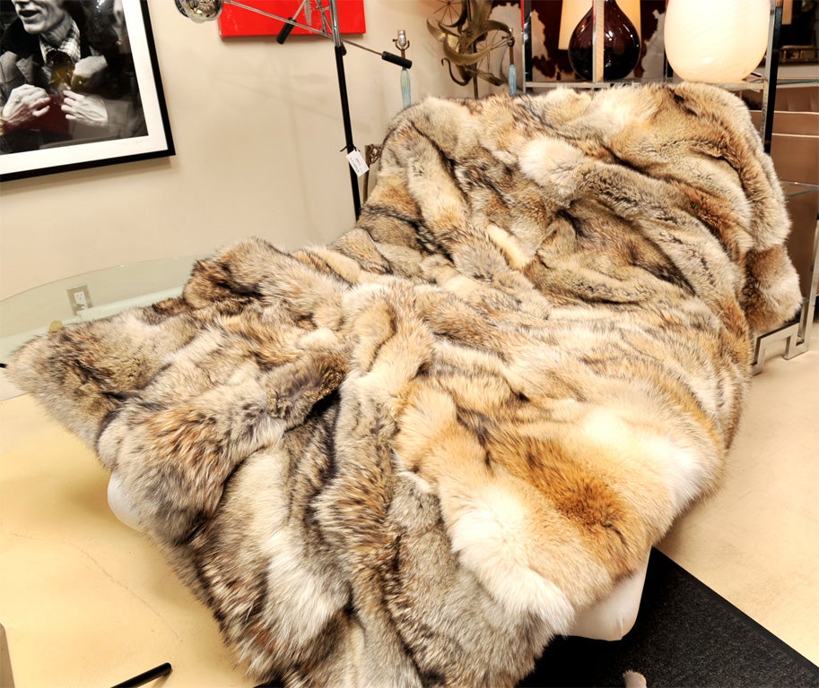 Bellissimo lancio in pelliccia di coyote. Si tratta di una coperta personalizzata realizzata con pelli intere. Le dimensioni sono di 63 pollici per 70 pollici. Le pelli provengono dagli Stati Uniti. La coperta è rivestita con un tessuto in lana e