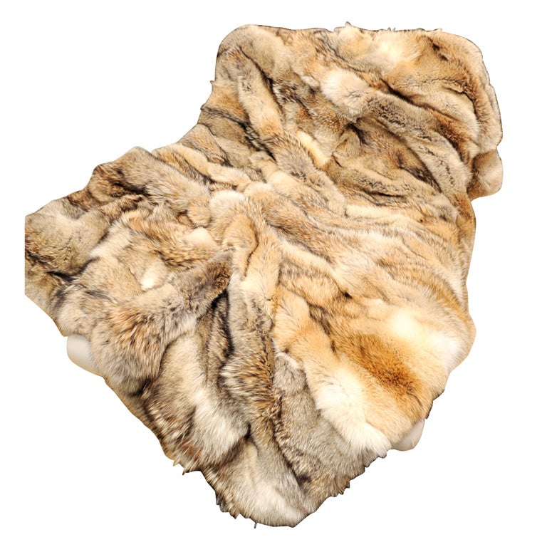 Coyote Throw, Full Skins, Backed with Wool/Cashmere, Large Size, All New Skins