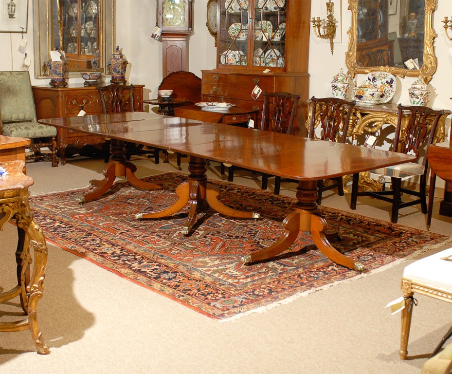 A Regency triple pedestal mahogany dining table with 3 leaves and brass paw feet castors. The table dating from the early 19th century and English in origin. 