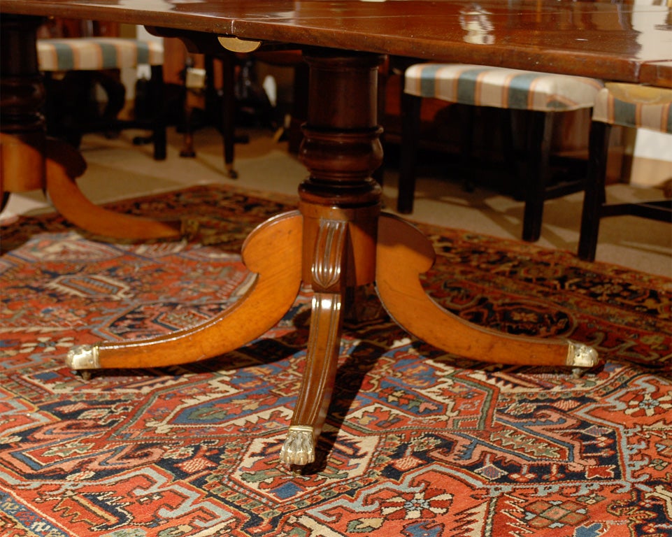 Brass Fine Regency  Mahogany Triple Pedestal Dining Table