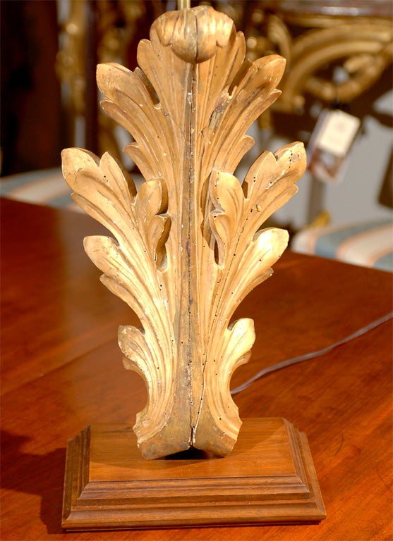 Giltwood Gilt-Wood Acanthus Leaf Architectural Fragment Wired as a Lamp