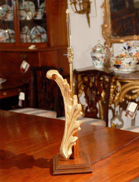 Gilt-Wood Acanthus Leaf Architectural Fragment Wired as a Lamp 1