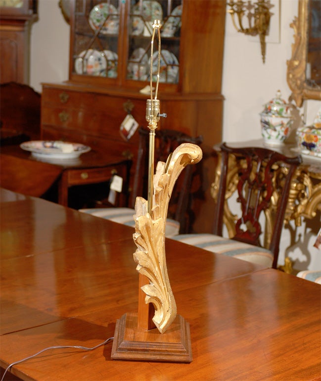 Gilt-Wood Acanthus Leaf Architectural Fragment Wired as a Lamp 3
