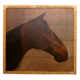 Antique Horse Portrait