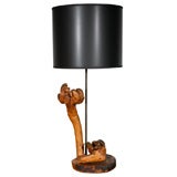 Unique Petrified Mushroom Table Lamp