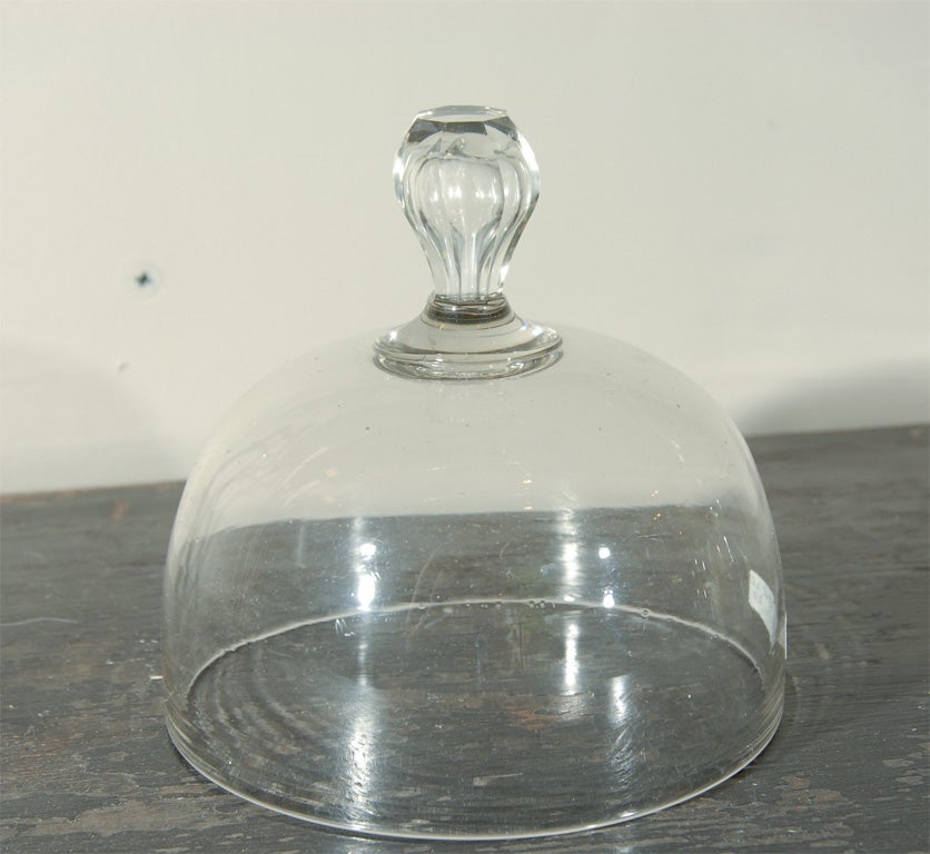 19th Century Cloches For Sale