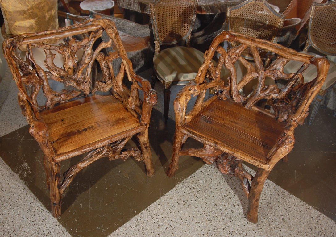 One of a Kind Pair of Chairs Made from Old Elm Root.