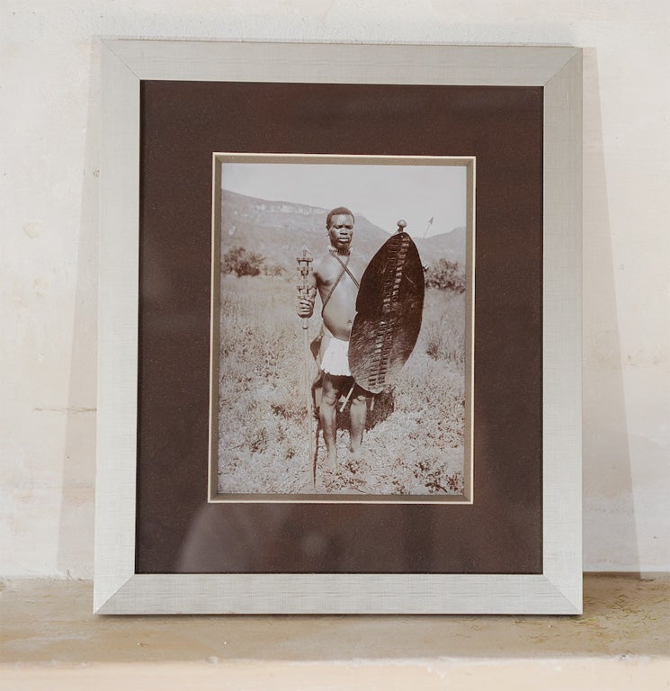 Handsomely framed and matted original Photograph of Zulu Warrior, c.1900. From Germany.