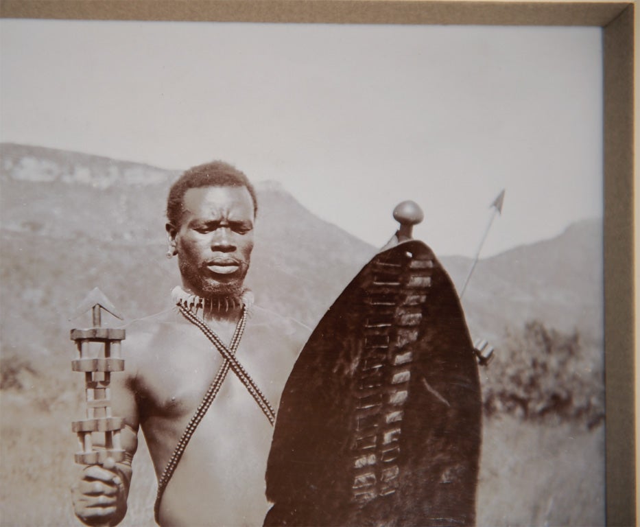20th Century Handsomely framed and matted original Photograph of Zulu Warrior For Sale