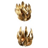 Pair of Brass Banana Leaf Sconces