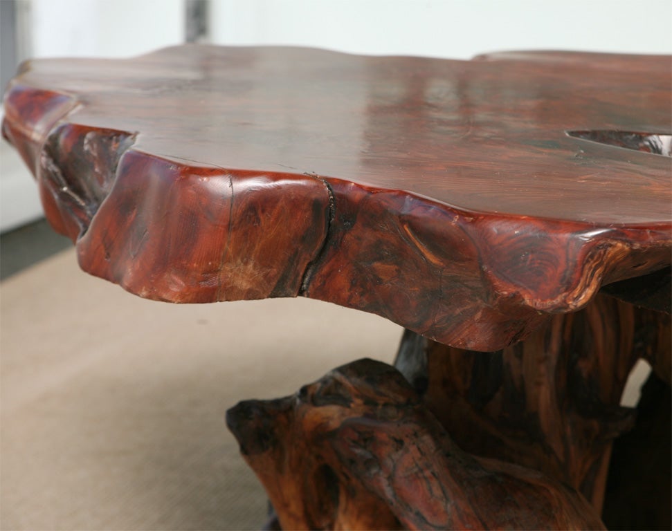 Large 1970's Root Wood Lacquered Coffee Table 1