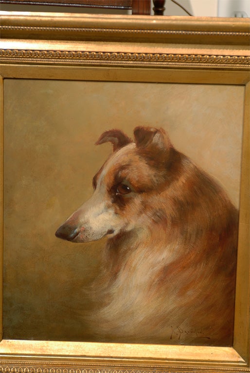 collie painting