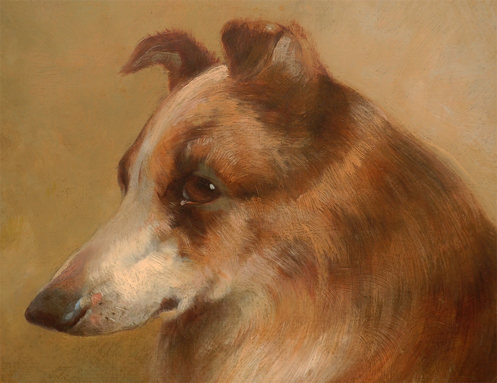 20th Century 19th Century English Painting of a Rough Collie by Victorian Artist Brownlow