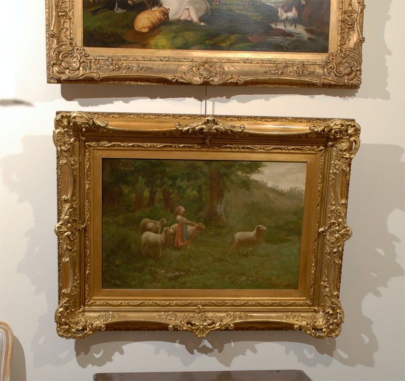 Large antique oil painting of sheep and shepherdess in landscape, in antique gilt frame.