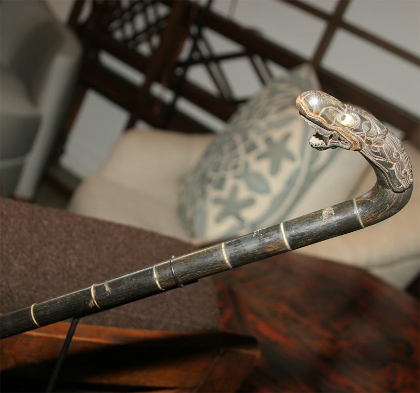 Indonesian Serpent Head Cane / Walking Stick