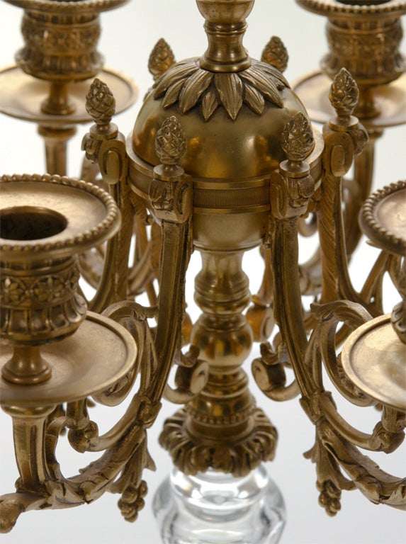 Pair of French Bronze D'ore and Cut Crystal Candelabra For Sale 6