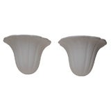 Pair of plaster shell sconces