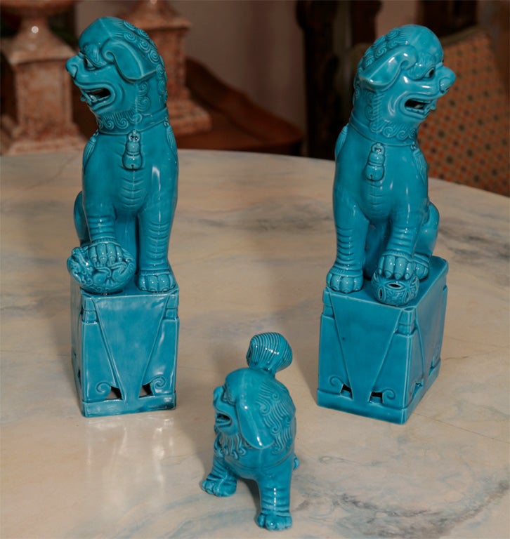 Chinese A Charming Pair of Foo Dogs and Puppy