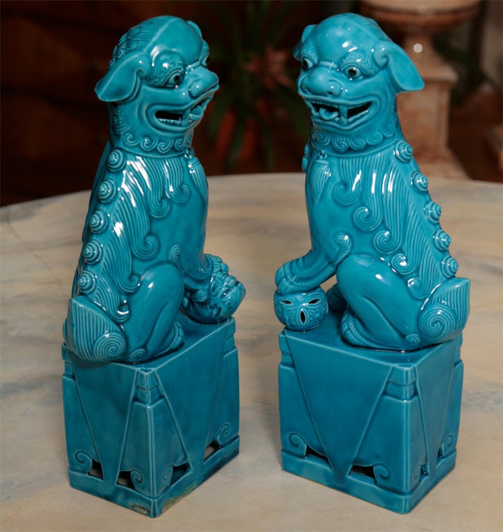 A Charming Pair of Foo Dogs and Puppy 2
