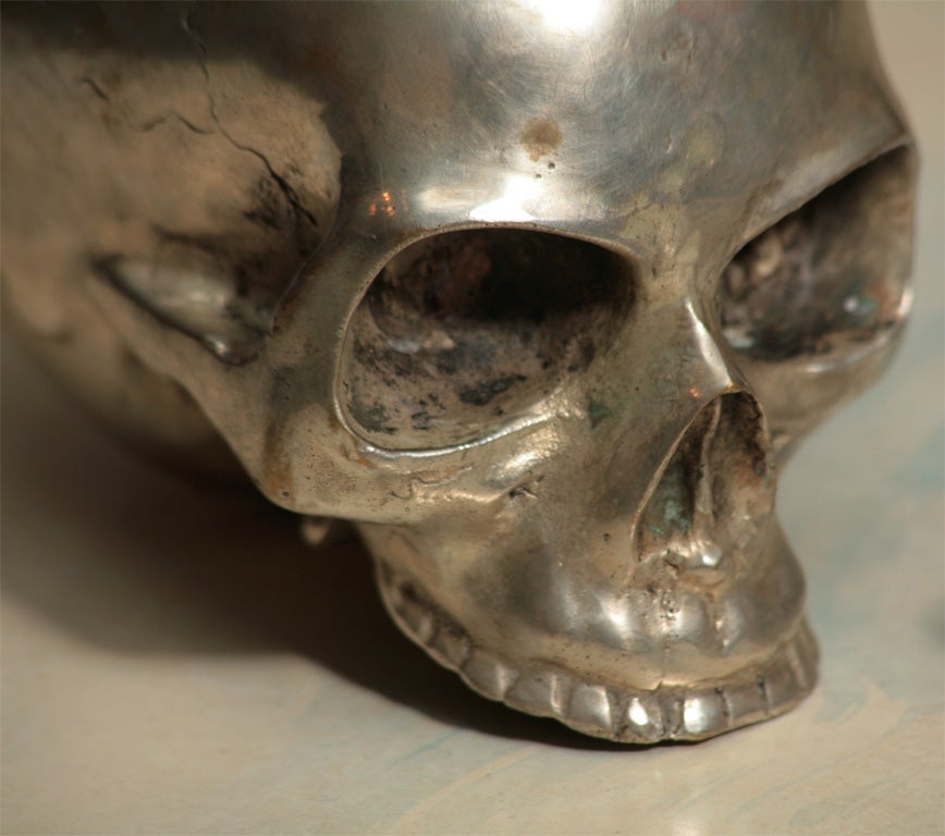 American Memento Mori Skull