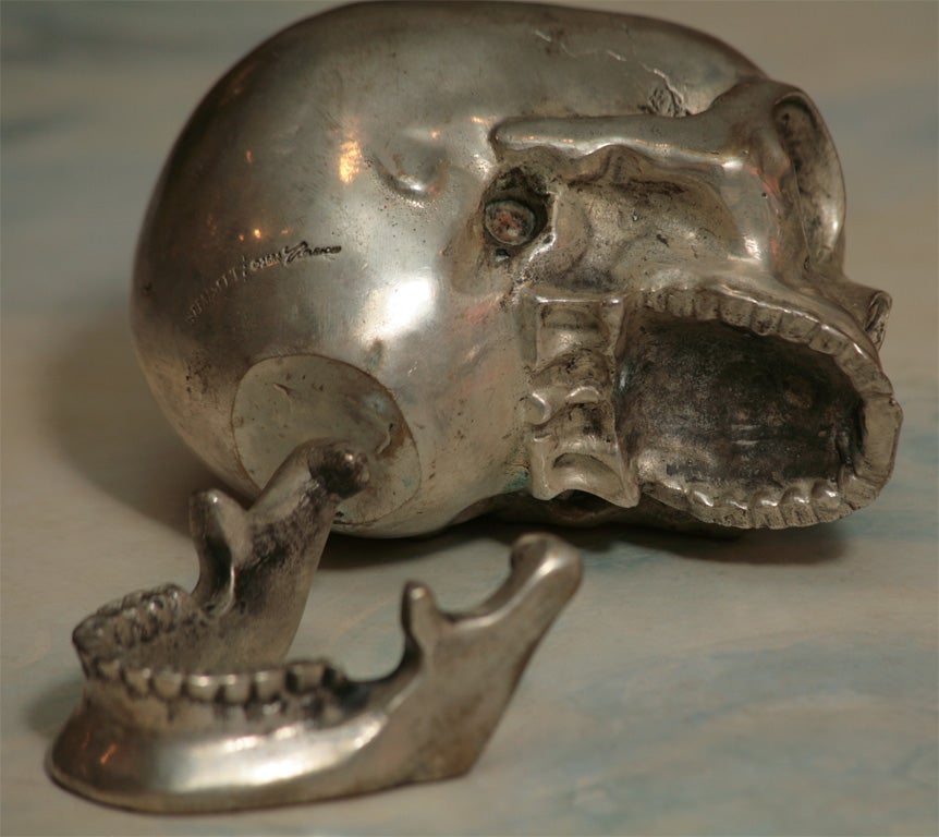 Brass Memento Mori Skull