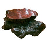 Burl Root Coffee Table