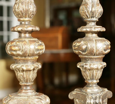 Oak Pair of Large Gilded Candlepricks For Sale