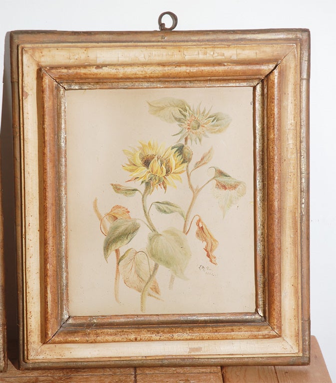 Pair of 1862 Rose Paintings in Wood Frames