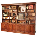 Very Large Scale Faux Bois Painted Bookcase