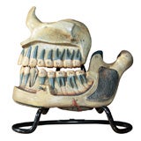 American Rubber Dental Model of the Jaw