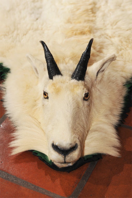 The complete natural colored deeply piled skin with hooves, full set of horns and detailed face mounted on two full layers of green and black felt.