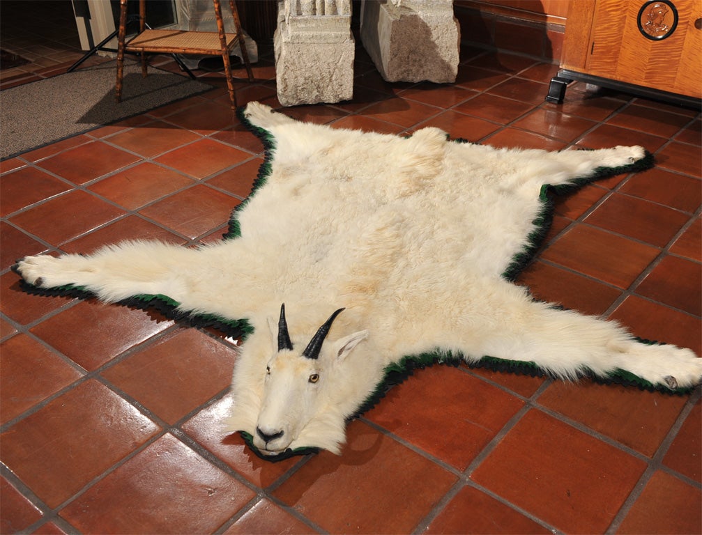 American Mountain Goat Skin Rug