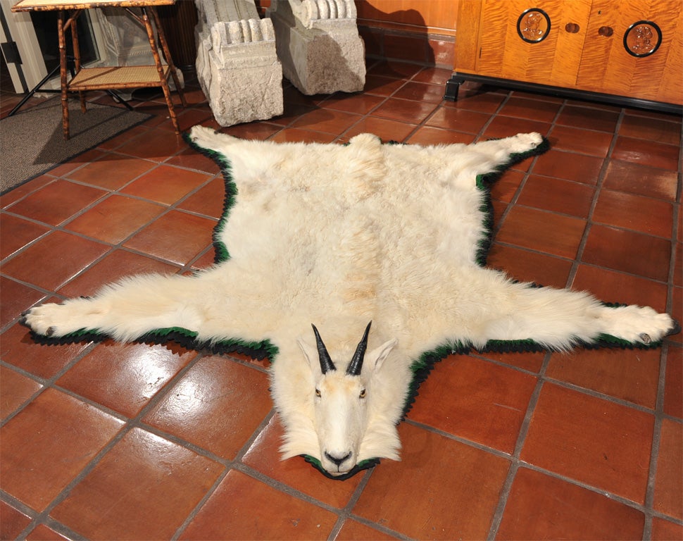 20th Century Mountain Goat Skin Rug