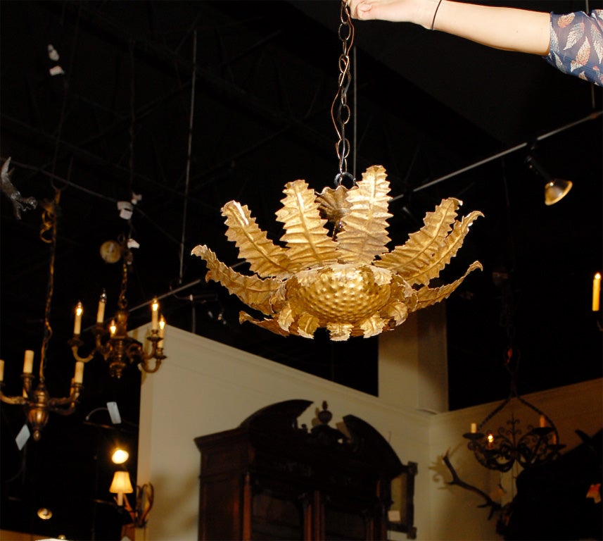 French starburst ceiling light