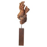 Petrified Wood Sculpture on Stand
